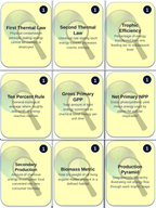Ecosystem Dynamics & Energy Flow Trivia Board Game sample page