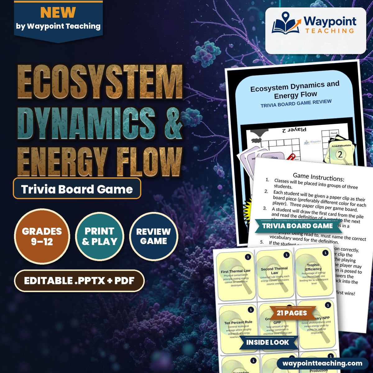 Ecosystem Dynamics & Energy Flow Trivia Board Game cover