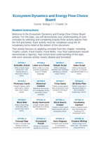 Ecosystem Dynamics & Energy Flow Vocabulary Choice Board sample page