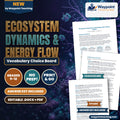 Ecosystem Dynamics & Energy Flow Vocabulary Choice Board cover
