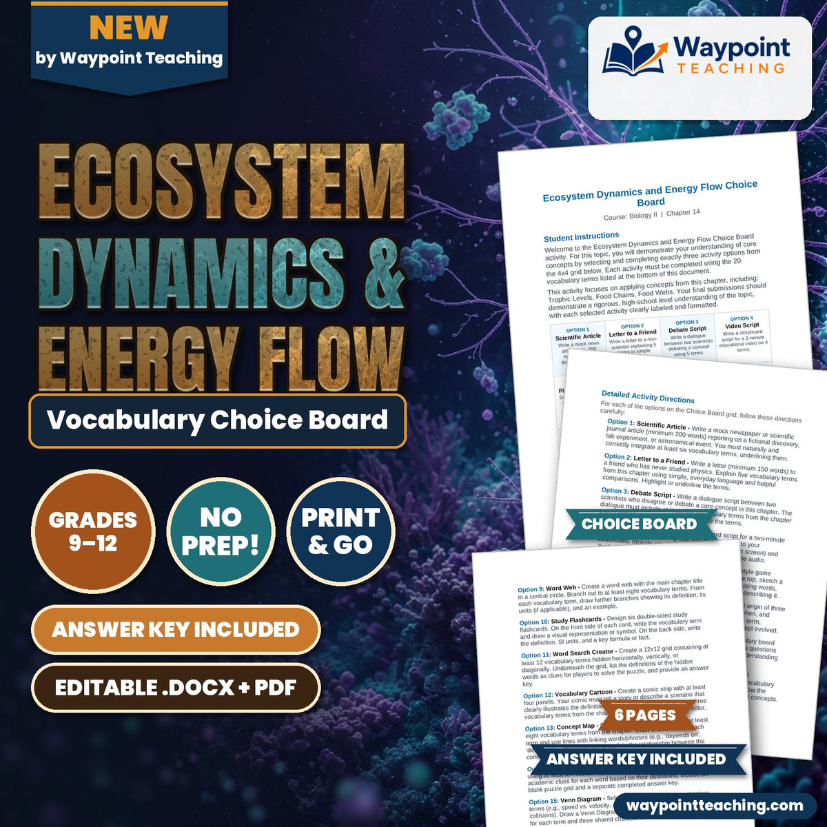 Ecosystem Dynamics & Energy Flow Vocabulary Choice Board cover