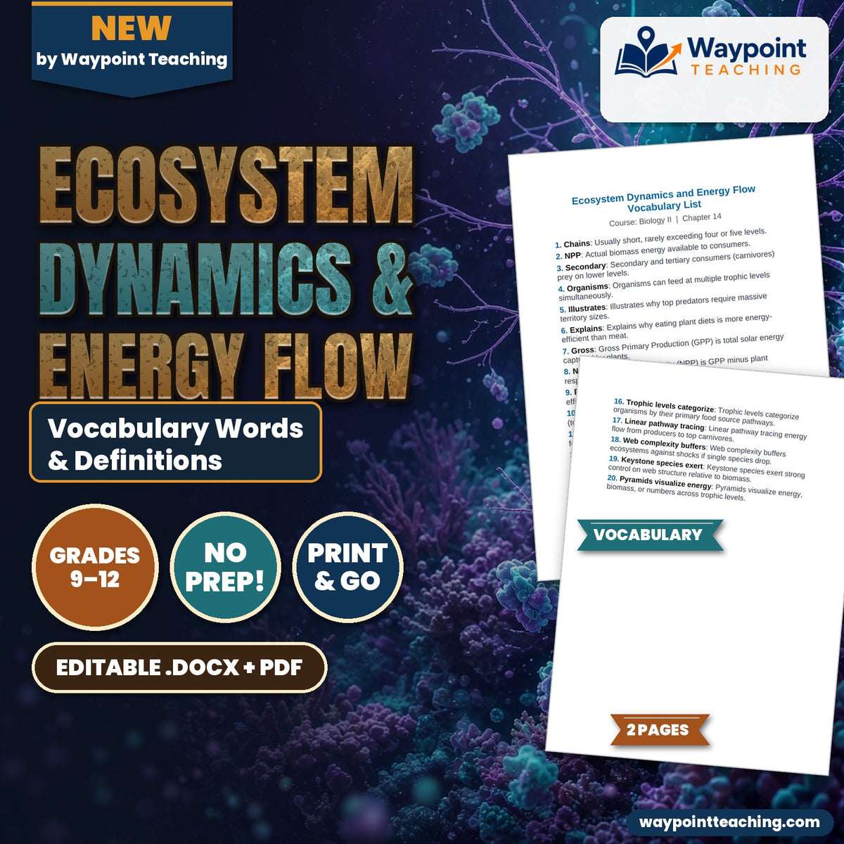 Ecosystem Dynamics & Energy Flow Vocabulary Words & Definitions cover