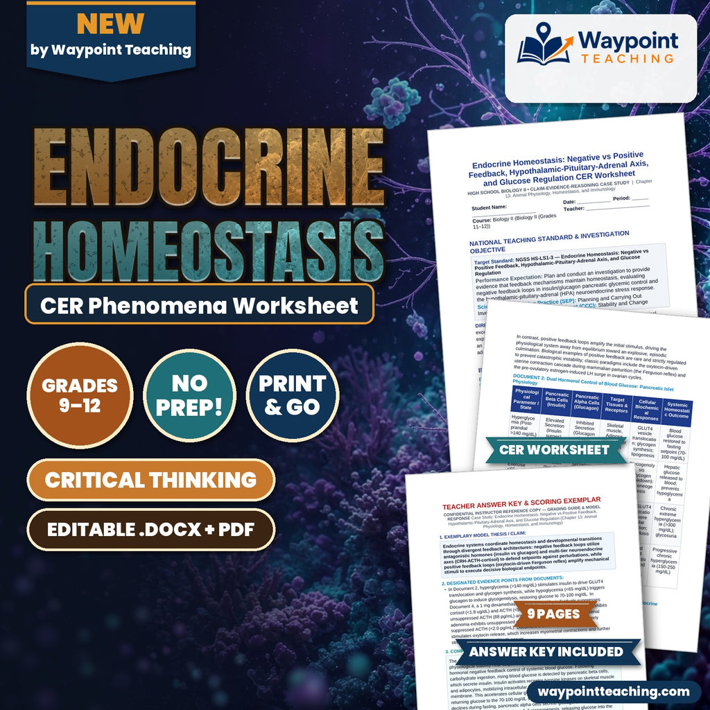 Endocrine Homeostasis: Negative vs Positive Feedback, Hypothalamic-Pituitary-Adrenal Axis, and Glucose Regulation CER Phenomena Worksheet cover