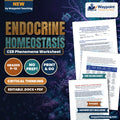 Endocrine Homeostasis: Negative vs Positive Feedback, Hypothalamic-Pituitary-Adrenal Axis, and Glucose Regulation CER Phenomena Worksheet cover
