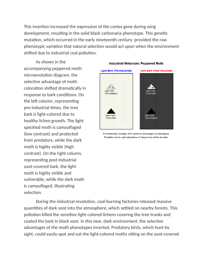 Environmental Shifts and Rapid Microevolution Reading Worksheet sample page