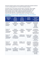 Epigenetic Regulation: Histone Acetylation/Methylation, CpG Island Methylation, and Genomic Imprinting CER Phenomena Worksheet sample page
