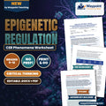 Epigenetic Regulation: Histone Acetylation/Methylation, CpG Island Methylation, and Genomic Imprinting CER Phenomena Worksheet cover