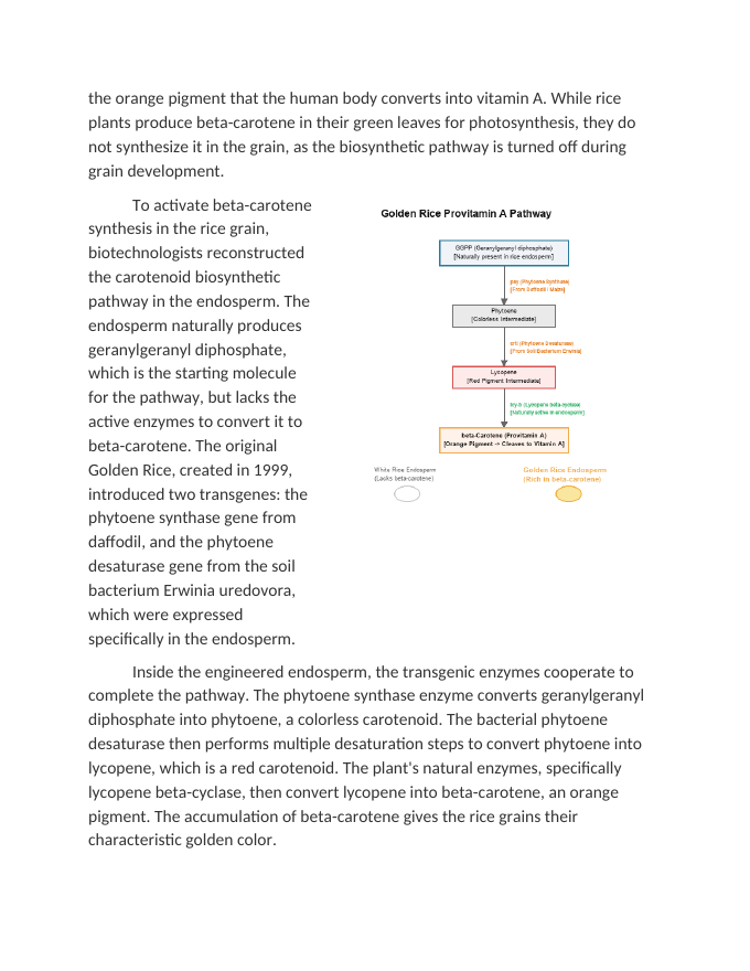 Evaluating Biofortification Solutions for Nutritional Deficits Reading Worksheet sample page