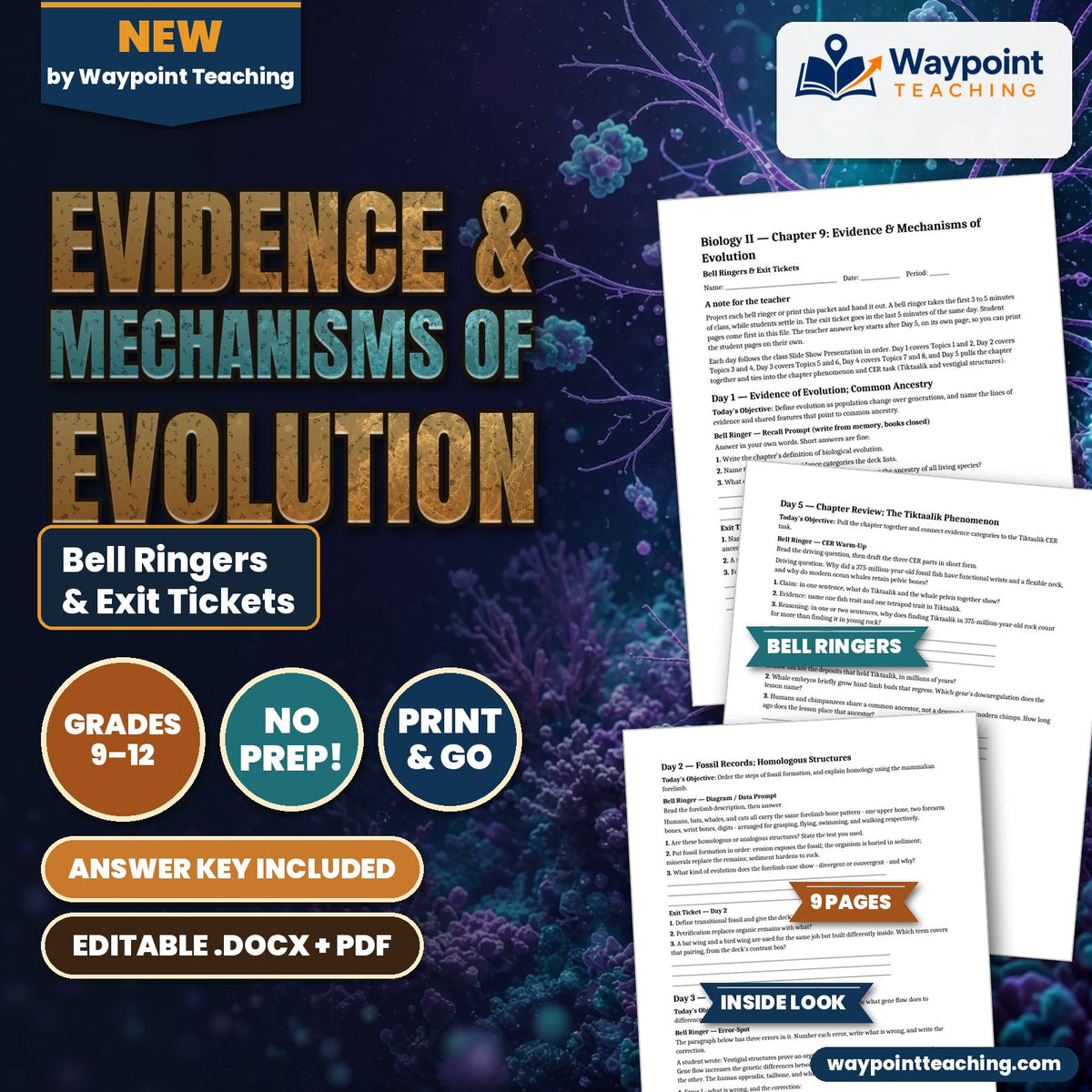 Evidence & Mechanisms of Evolution Bell Ringers & Exit Tickets cover