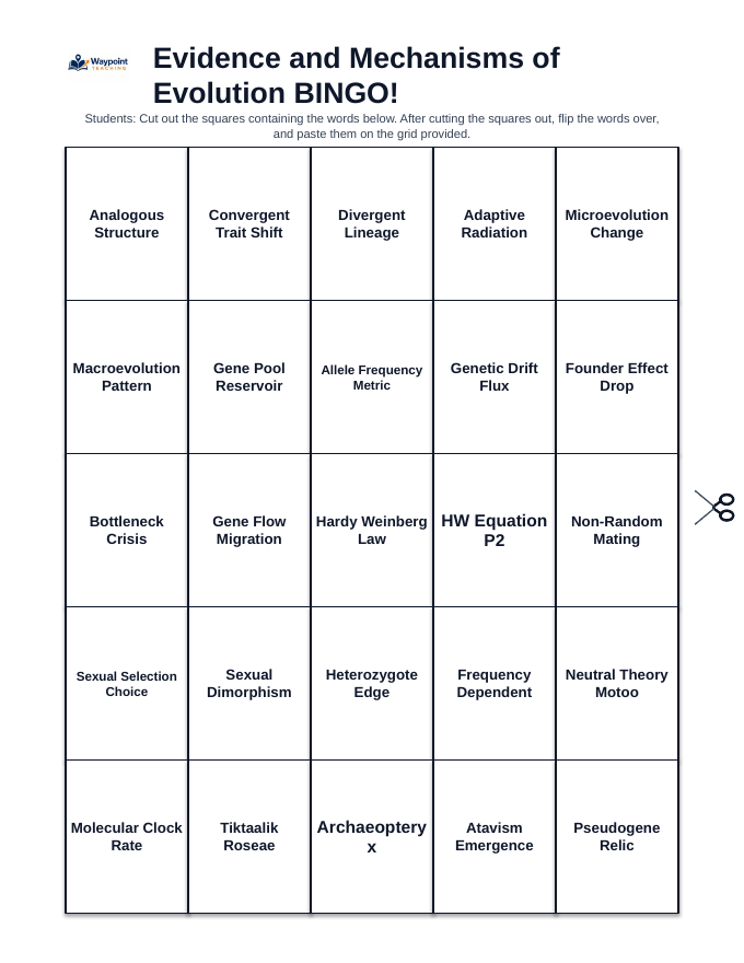 Evidence & Mechanisms of Evolution BINGO Review Game sample page