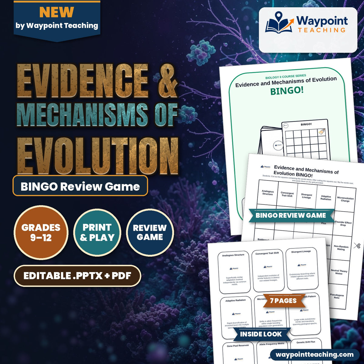 Evidence & Mechanisms of Evolution BINGO Review Game cover