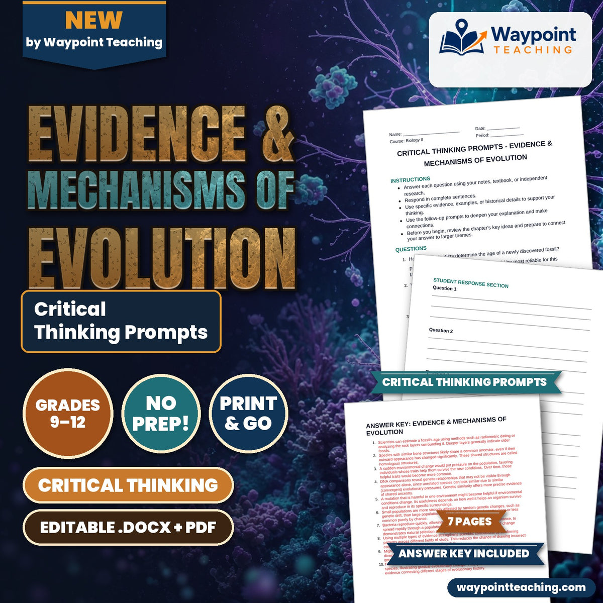 Evidence & Mechanisms of Evolution Critical Thinking Prompts cover