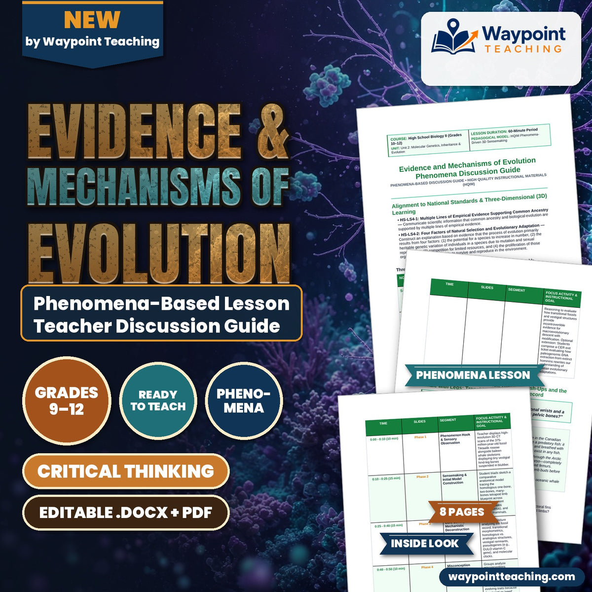 Evidence & Mechanisms of Evolution Phenomena-Based Lesson: The Fish That Did Push-Ups and the Whale with Legs: Transitions in the Fossil Record Teacher Discussion Guide cover