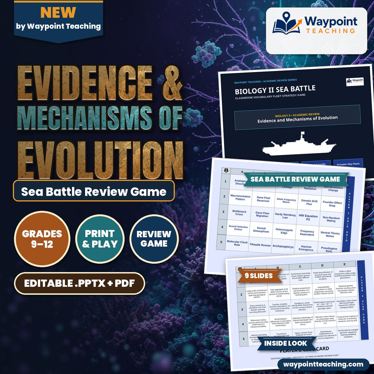 Evidence & Mechanisms of Evolution Sea Battle Review Game cover