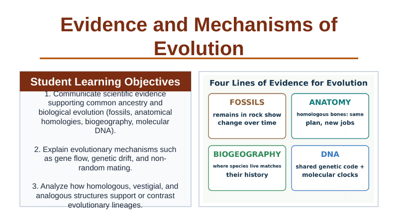 Evidence & Mechanisms of Evolution Slide Show Presentation sample page