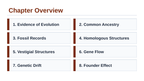 Evidence & Mechanisms of Evolution Slide Show Presentation sample page