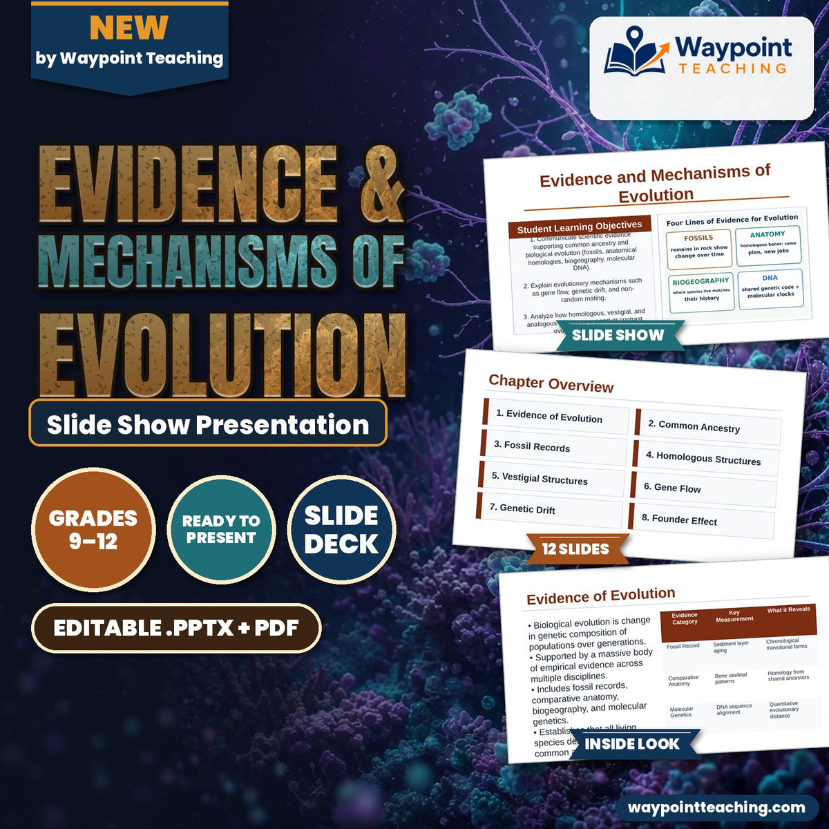 Evidence & Mechanisms of Evolution Slide Show Presentation cover