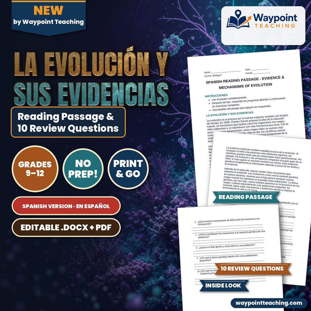 Evidence & Mechanisms of Evolution Spanish Reading Passage & Comprehension Questions cover