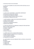Evidence & Mechanisms of Evolution Spanish Unit Test sample page