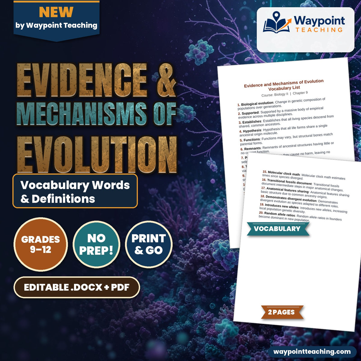 Evidence & Mechanisms of Evolution Vocabulary Words & Definitions cover