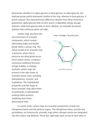 Evidence of Carbons Versatility in Complex Ring Structures Reading Worksheet sample page