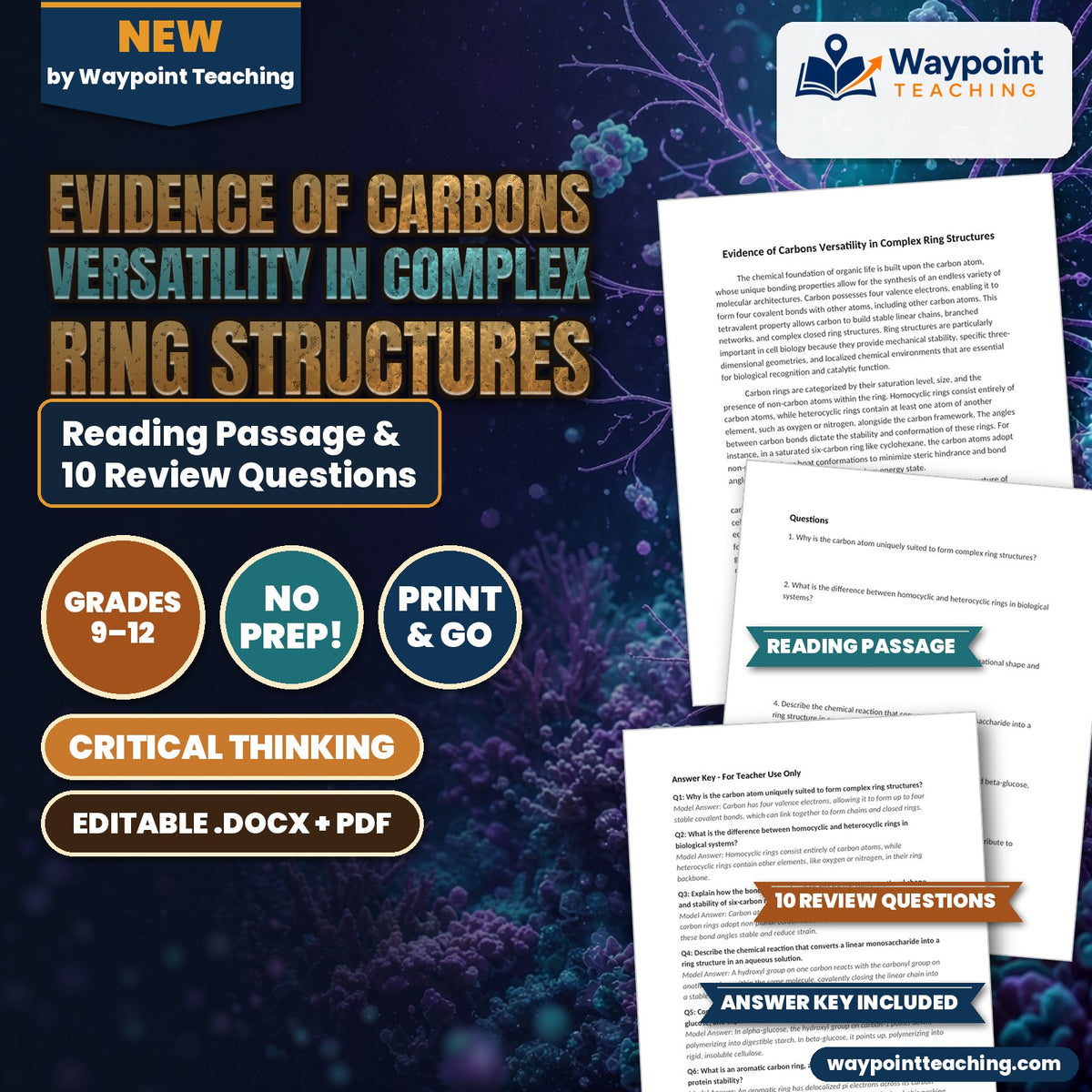 Evidence of Carbons Versatility in Complex Ring Structures Reading Worksheet cover
