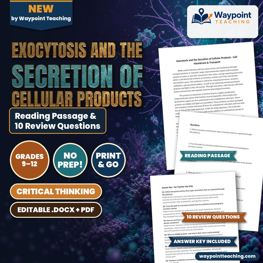 Exocytosis and the Secretion of Cellular Products Reading Worksheet cover