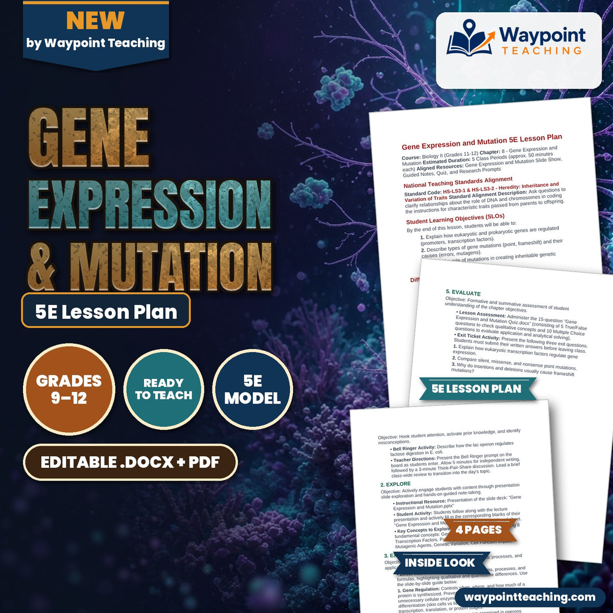 Gene Expression & Mutation 5E Lesson Plan cover