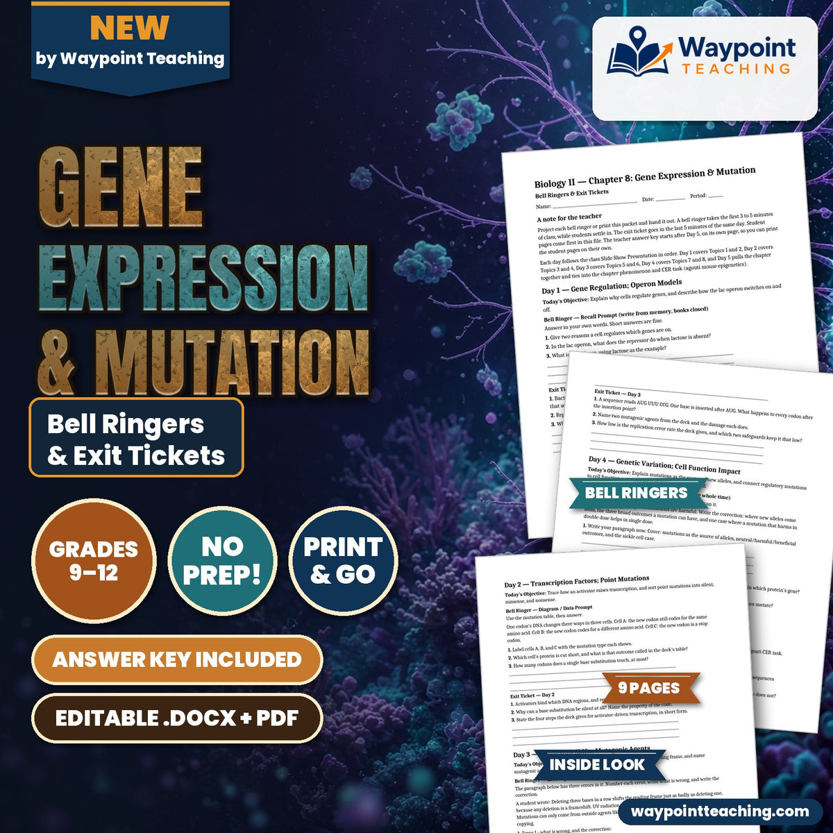 Gene Expression & Mutation Bell Ringers & Exit Tickets cover