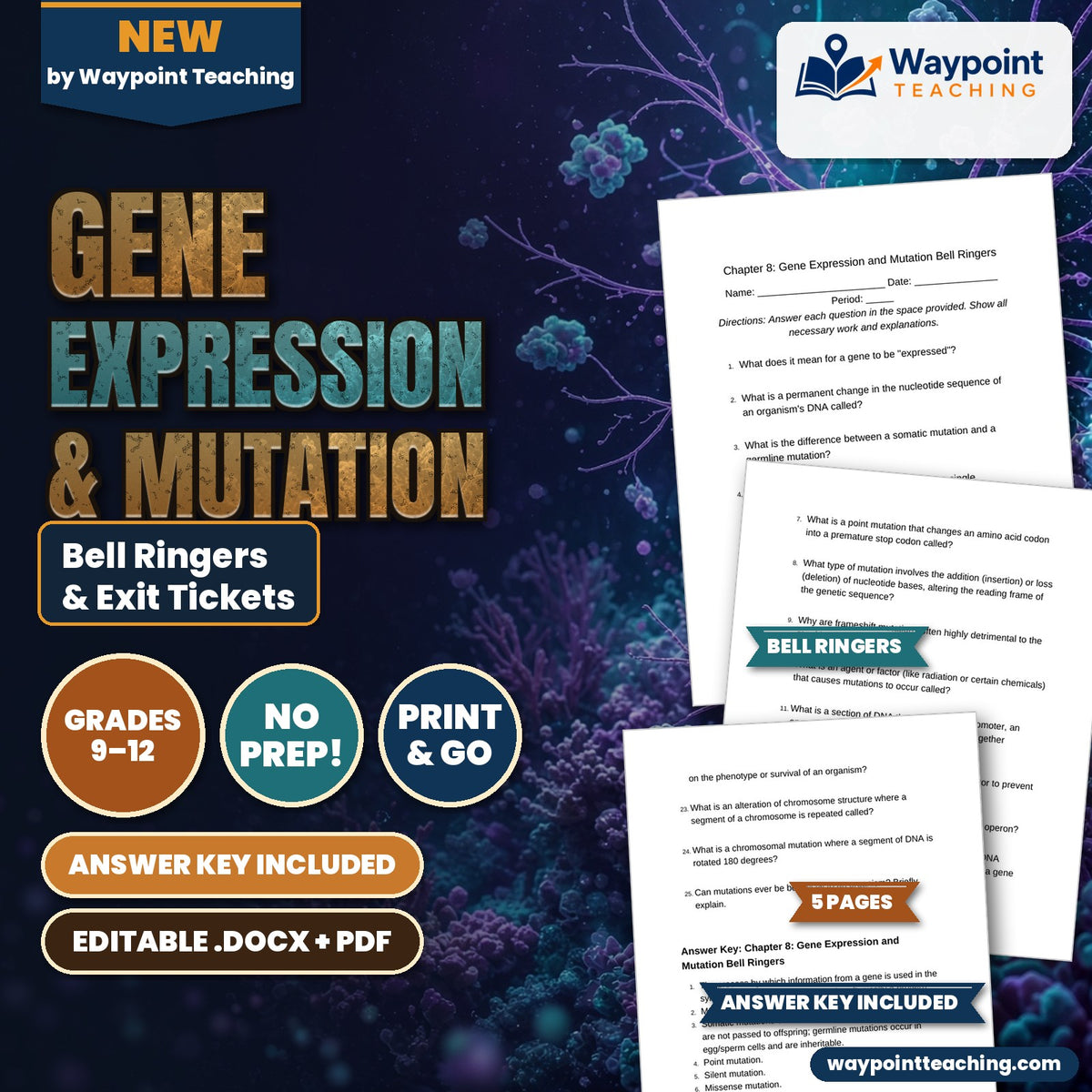 Gene Expression & Mutation Bell Ringers & Exit Tickets cover
