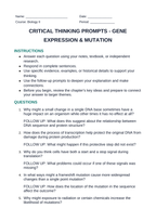 Gene Expression & Mutation Critical Thinking Prompts sample page