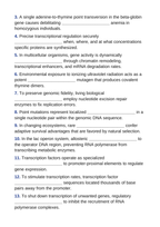 Gene Expression & Mutation Fill-in-the-Blank Vocabulary Worksheet sample page