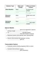 Gene Expression & Mutation Guided Notes sample page
