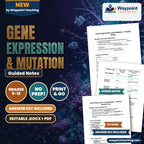 Gene Expression & Mutation Guided Notes cover