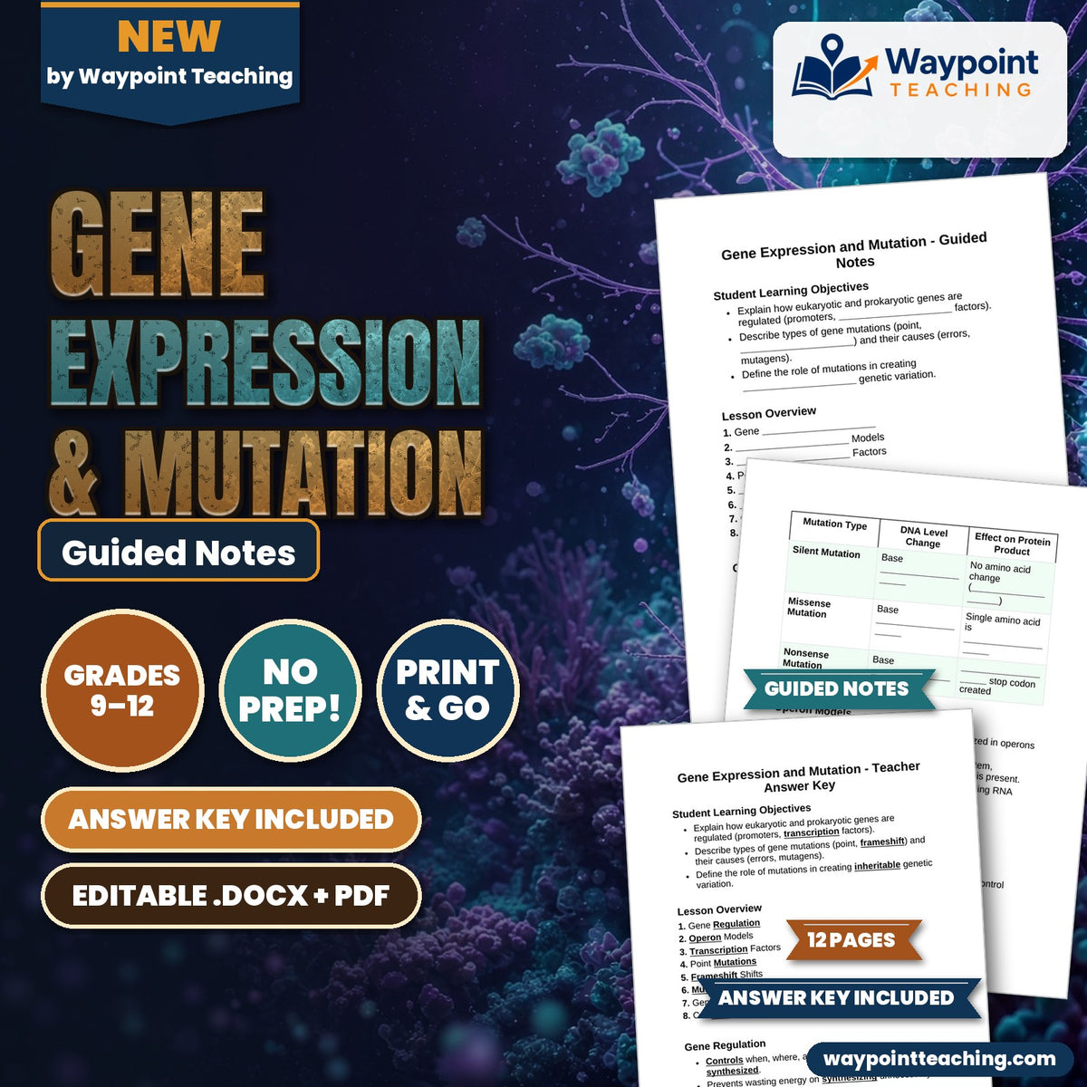 Gene Expression & Mutation Guided Notes cover