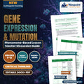 Gene Expression & Mutation Phenomena-Based Lesson: The Tale of Two Mice: Identical DNA, Opposite Lives via Epigenetic Methylation Teacher Discussion Guide cover