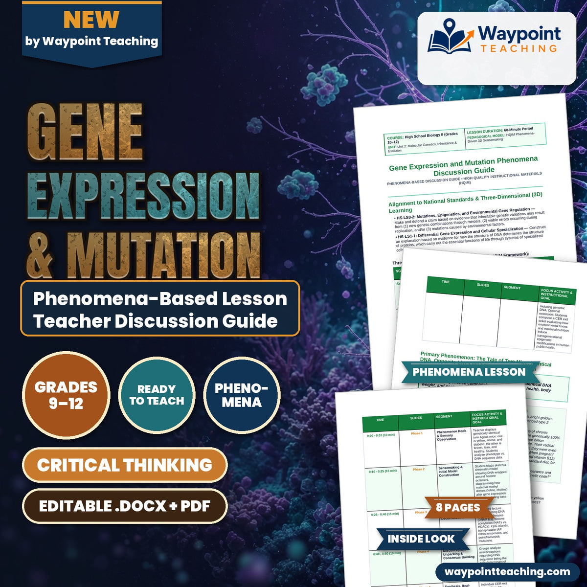 Gene Expression & Mutation Phenomena-Based Lesson: The Tale of Two Mice: Identical DNA, Opposite Lives via Epigenetic Methylation Teacher Discussion Guide cover