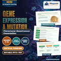 Gene Expression & Mutation Phenomena-Based Lesson: The Tale of Two Mice: Identical DNA, Opposite Lives via Epigenetic Methylation Presentation cover