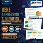 Gene Expression & Mutation Phenomena-Based Lesson: The Tale of Two Mice: Identical DNA, Opposite Lives via Epigenetic Methylation Presentation cover