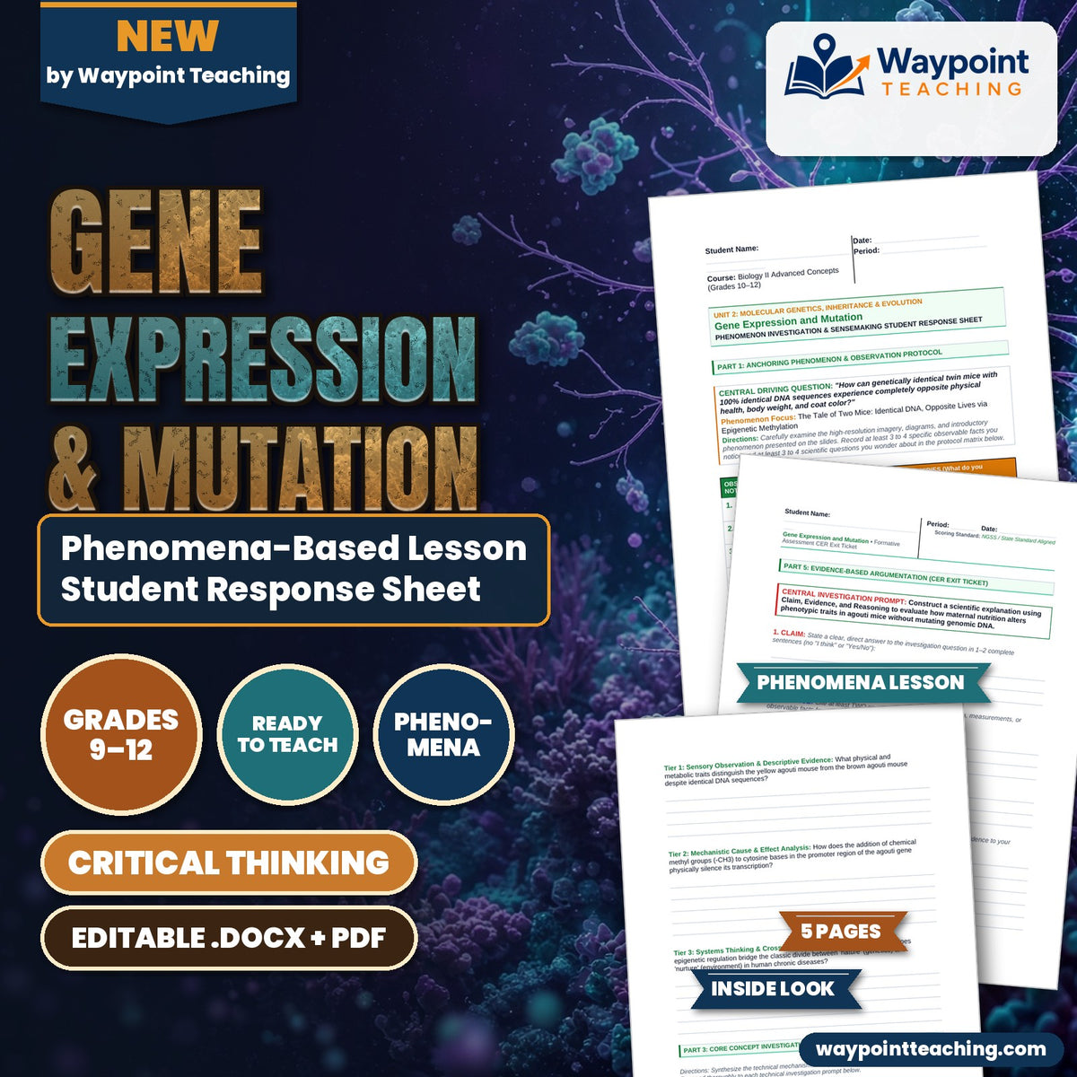 Gene Expression & Mutation Phenomena-Based Lesson: The Tale of Two Mice: Identical DNA, Opposite Lives via Epigenetic Methylation Student Response Sheet cover