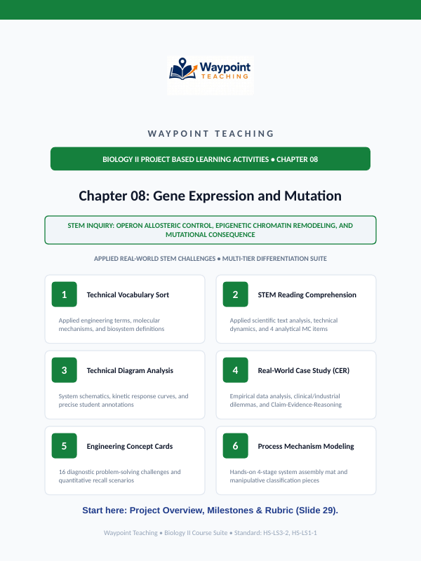 Gene Expression & Mutation Project-Based Learning Activity sample page