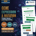 Gene Expression & Mutation Project-Based Learning Activity cover