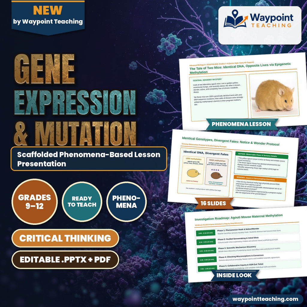 Gene Expression & Mutation Scaffolded Phenomena-Based Lesson: The Tale of Two Mice: Identical DNA, Opposite Lives via Epigenetic Methylation Presentation cover