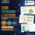 Gene Expression & Mutation Scaffolded Phenomena-Based Lesson: The Tale of Two Mice: Identical DNA, Opposite Lives via Epigenetic Methylation Presentation cover