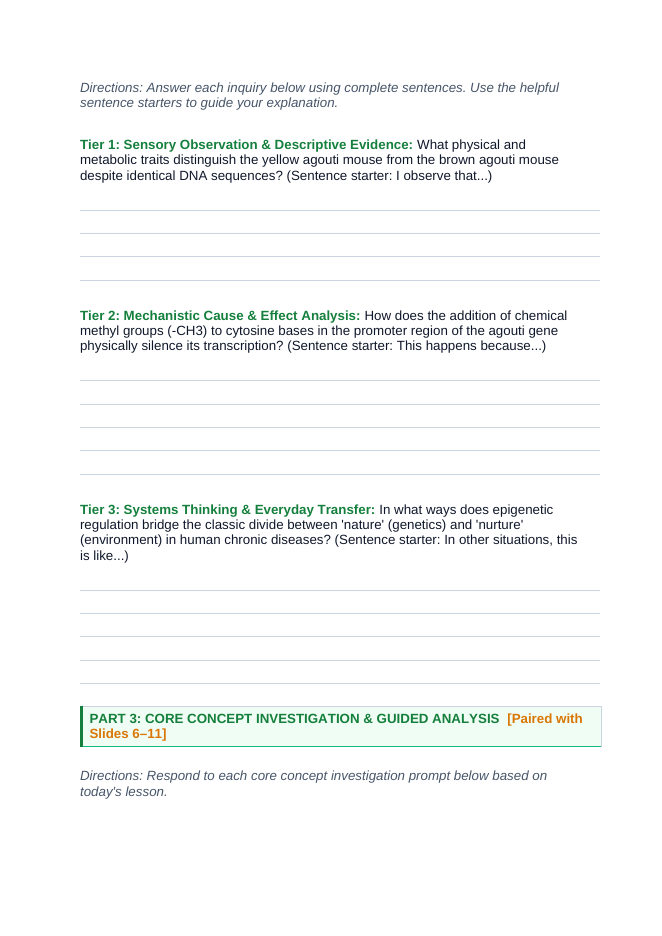 Gene Expression & Mutation Scaffolded Phenomena-Based Lesson: The Tale of Two Mice: Identical DNA, Opposite Lives via Epigenetic Methylation Student Response Sheet sample page