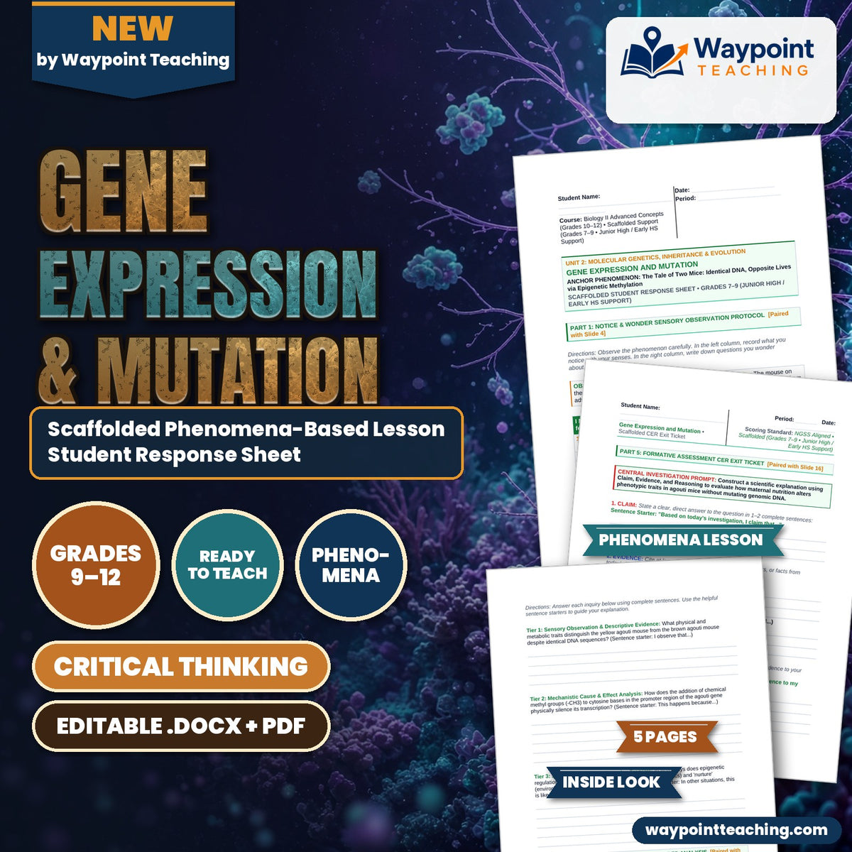 Gene Expression & Mutation Scaffolded Phenomena-Based Lesson: The Tale of Two Mice: Identical DNA, Opposite Lives via Epigenetic Methylation Student Response Sheet cover