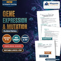 Gene Expression & Mutation Spanish Guided Notes cover