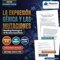 Gene Expression & Mutation Spanish Reading Passage & Comprehension Questions cover