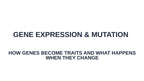 Gene Expression & Mutation Substitute Slideshow & Teacher Guide sample page