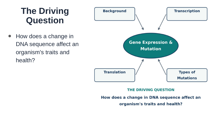 Gene Expression & Mutation Substitute Slideshow & Teacher Guide sample page